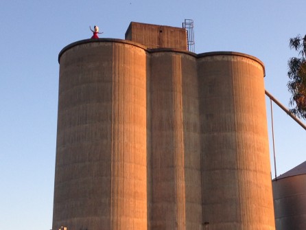 Dookie silos